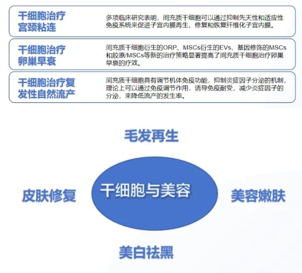 itb8888通博(中国区)官方网站