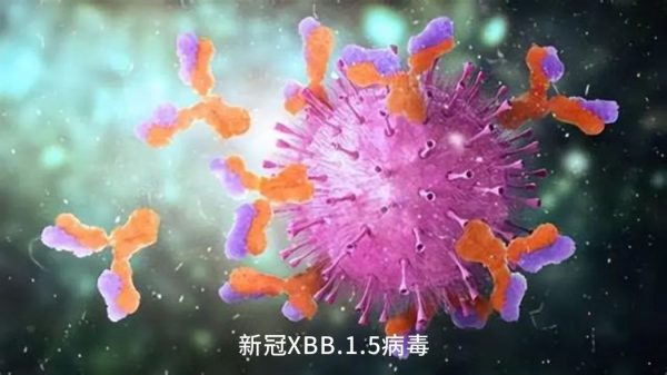 itb8888通博(中国区)官方网站
